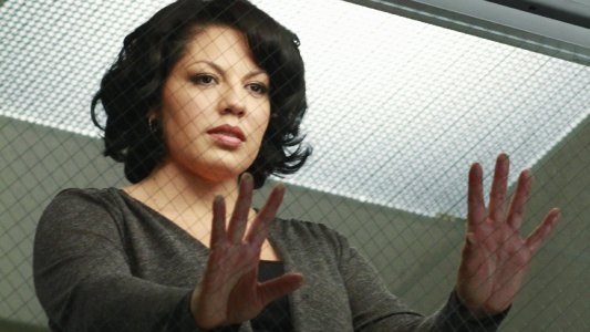 Image Anatomía de Grey (Greys Anatomy) 18