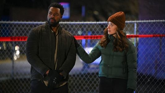 Image Chicago P.D. 13