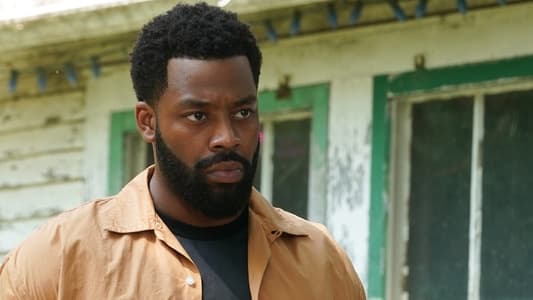 Image Chicago P.D. 3