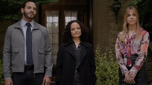 Image Alto potencial 11