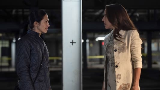 Image La chica de la limpieza 5