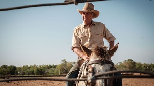 Image Mystery Road 6