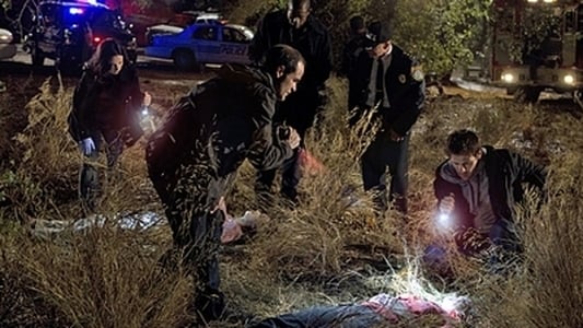 Image Mentes criminales: conducta sospechosa 9