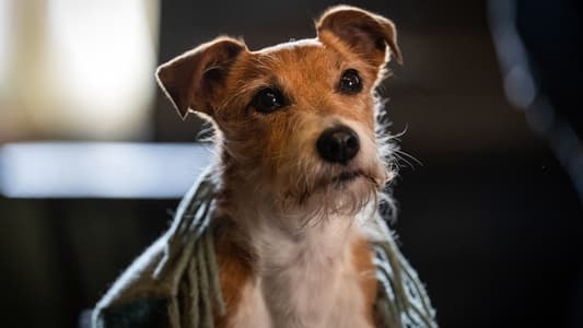 Image Llama a la comadrona 6