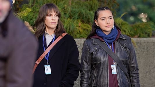 Image Alaska Daily 9