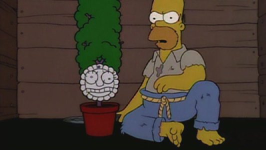 Image Los Simpsons 22