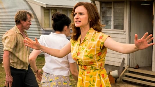 Image Ten Pound Poms 6