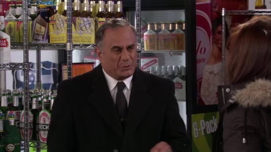 Image How I Met Your Mother (Como Conoci a Vuestra Madre ) 13