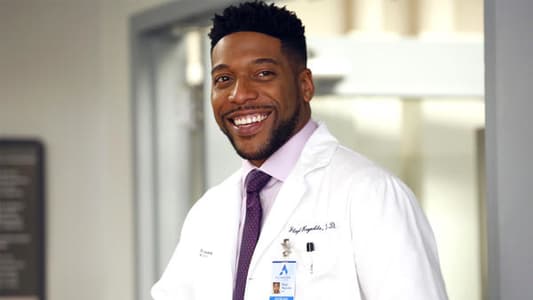 Image New Amsterdam 8