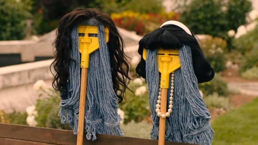 Image Three Busy Debras 6