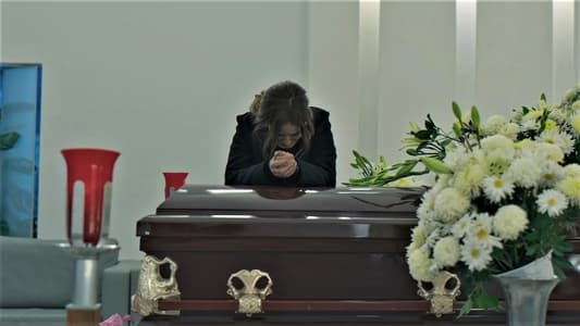 Image Buscando a Frida 58