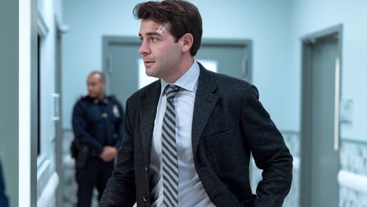 Image Ordinary Joe 2