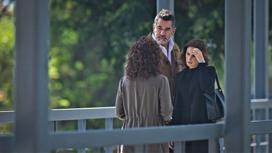 Image Buscando a Frida 14