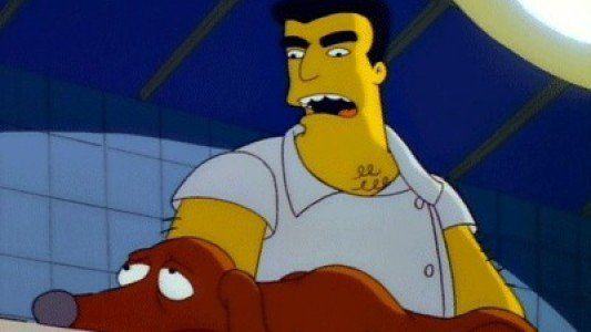 Image Los Simpsons 19