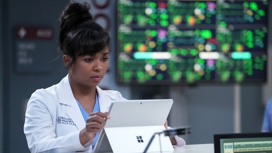 Image Anatomía de Grey (Greys Anatomy) 13