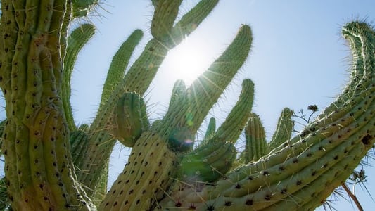 Image Planeta Verde 4