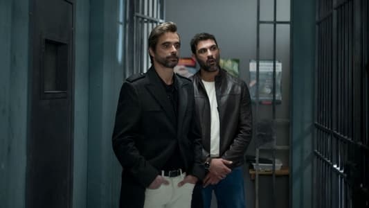 Image 4 estrellas 57