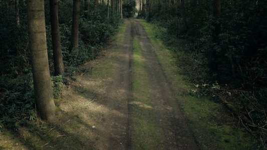 Image Cazar Asesinos 3