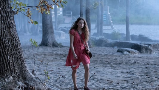 Image La verdad sobre el caso Harry Quebert 10