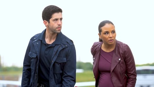 Image Socios y sabuesos 3