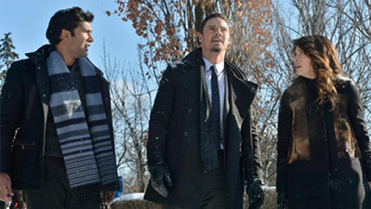 Image La Bella y Bestia (Beauty and the Beast) 13