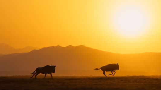 Image Un planeta perfecto 2